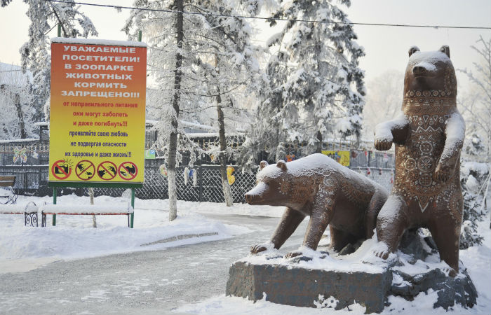 Абаканский зоопарк объявляет новогоднюю акцию и скидки на билеты