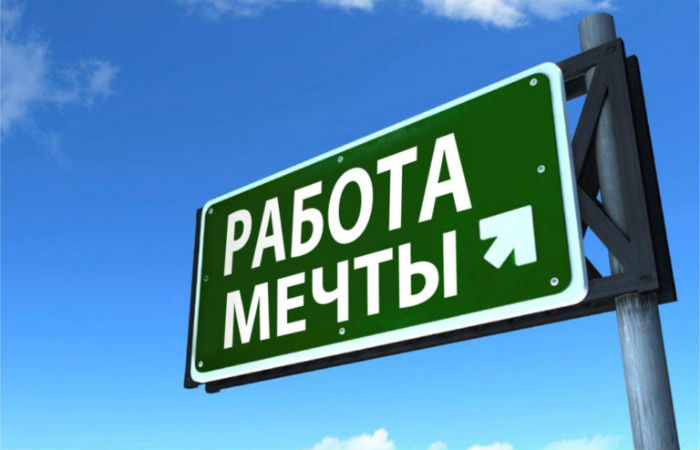 Названы условия для «работы мечты»