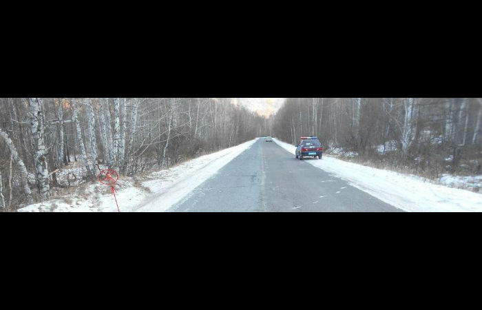 В Хакасии иномарка врезалась в дерево - пострадали два человека