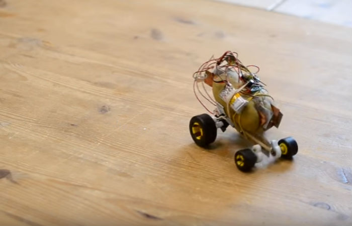 Опубликовано видео уникальной самозарядной картошки на колёсах от польского изобретателя