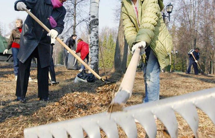 На следующей неделе Абакан ждет большая уборка