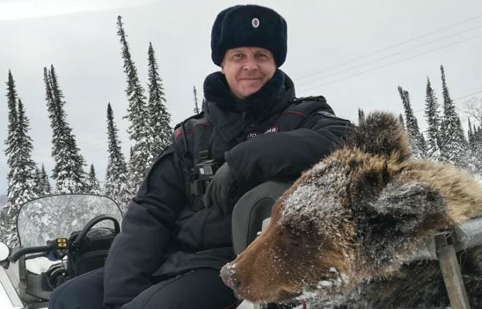 В Шерегеше на лыжной трассе застрелили медведя