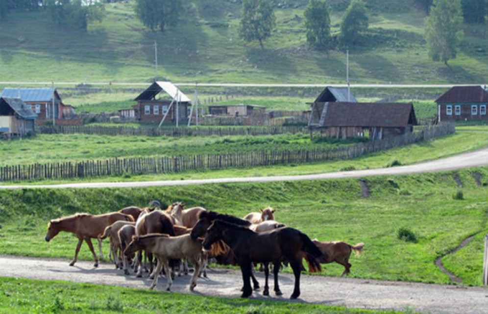 Развитие сельских территорий профинансируют дополнительно