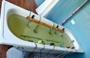 Сроки отключения горячей воды могут сократить до трех дней