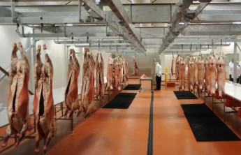 В Хакасии начал работу комбинат "Баранина Хакасии"