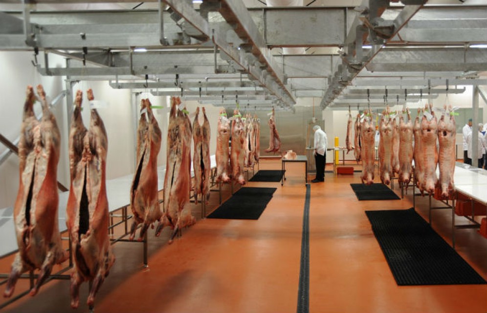 В Хакасии начал работу комбинат "Баранина Хакасии"