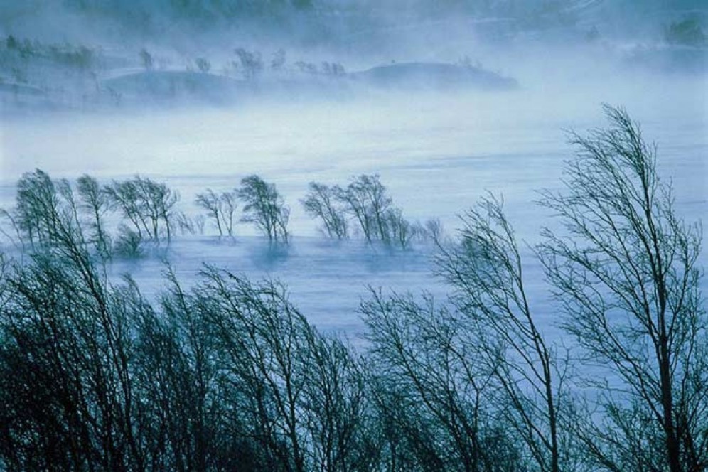 В четверг в Хакасии будет ветрено