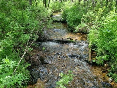 В Хакасии экологи выявили превышение содержания ртути и железа в водоемах в зоне золотодобычи