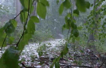 В Хакасии град выбивал стёкла машин