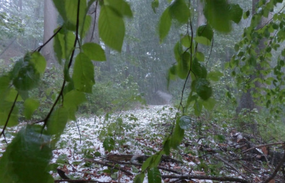 В Хакасии град выбивал стёкла машин