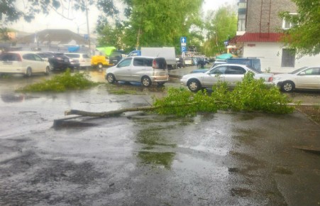 В Абакане ветер ломал деревья и отключал свет
