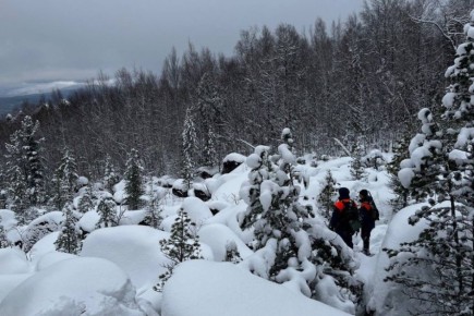 Активные поиски семьи, пропавшей в тайге под Красноярском, завершены
