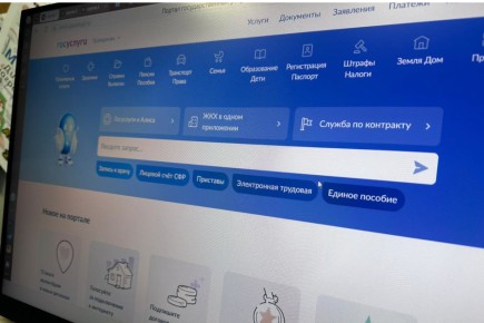 Мошенники придумали новую схему с диагностикой на «Госуслугах»