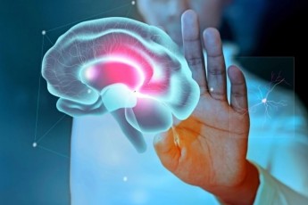 Ученые объяснили механизм прокрастинации в человеческом мозге