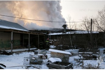В Хакасии сгорел приют для животных "Каштанкин дом"