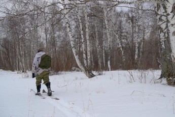 В Хакасии пересчитают диких животных
