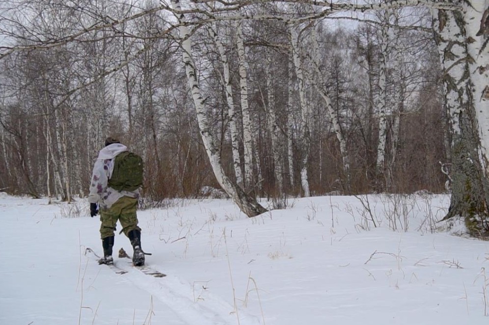 В Хакасии пересчитают диких животных