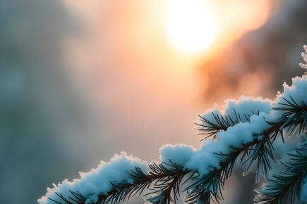 Морозы покидают Хакасию