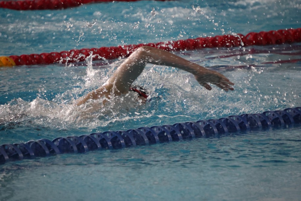 Пловцы Абакана начали сезон "длинной воды" в статусе олимпийского резерва