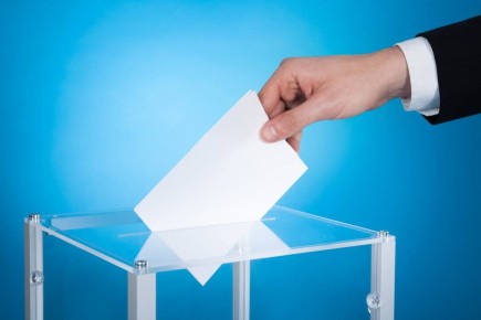 Выборы главы Расцветовского сельсовета пройдут в марте