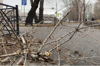 В Абакане управляющая компания заплатит за смерть женщины во время апрельского урагана