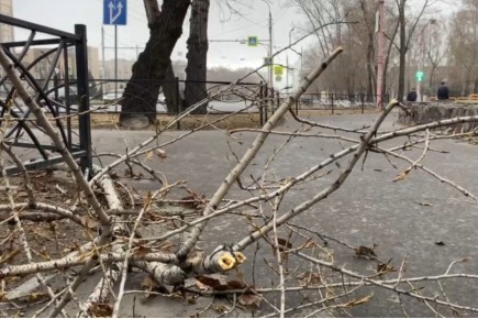 В Абакане управляющая компания заплатит за смерть женщины во время апрельского урагана