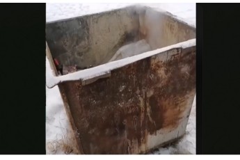 В Хакасии введут штрафы за складирование горячей золы в мусорные баки