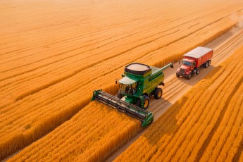 Зерновые и кондитерка: Хакасия увеличила экспорт продукции АПК в 2025 году