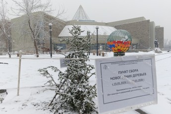 Минприроды Хакасии: более 60 кубометров елей собрали в Абакане для переработки