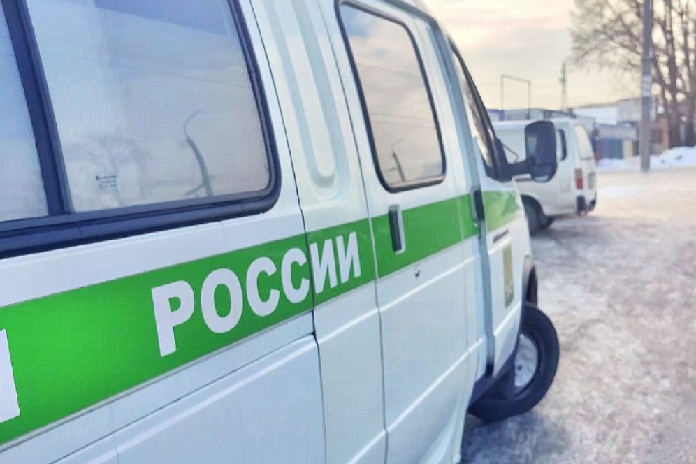 В Хакасии хозяин агрессивной собаки выплатил ребенку 30 тыс. рублей морального вреда по решению приставов