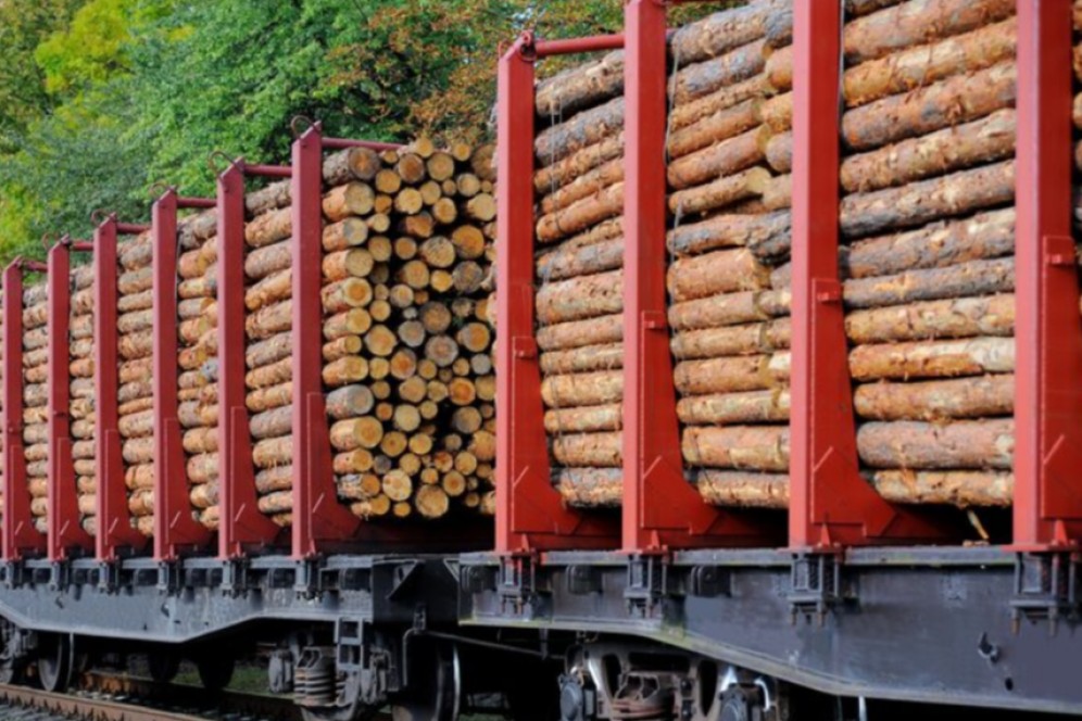 Жительницу Хакасии обвиняют в контрабанде леса на 9 млн рублей