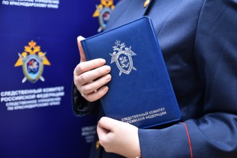 СК России: Бастрыкин контролирует расследование нападения собаки на ребенка в Черногорске