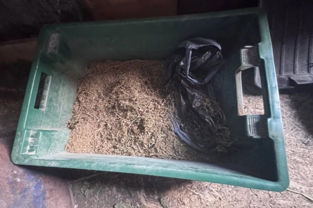 18-летнему жителю Ширинского района грозит 10 лет колонии за хранение наркотиков