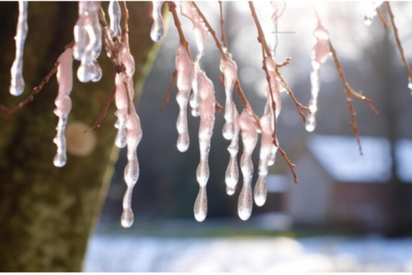 В Красноярске, Иркутске и Абакане побит рекорд тепла за всю историю наблюдений