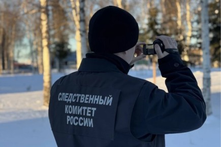 Житель аала Катанов арестован за убийство собутыльника в Аскизском районе