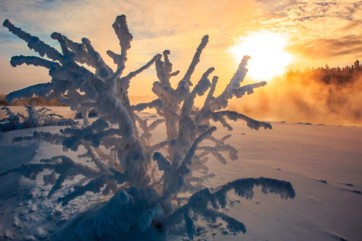 Аномальные морозы до 50 °C ожидаются в ряде регионов Сибири
