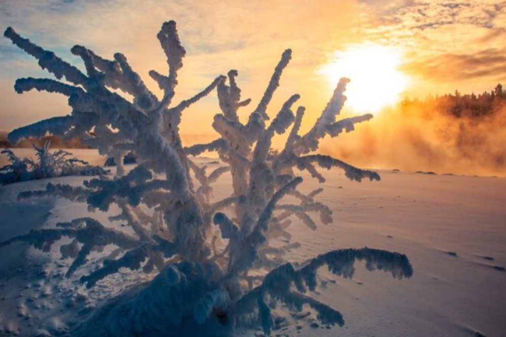 Аномальные морозы до 50 °C ожидаются в ряде регионов Сибири