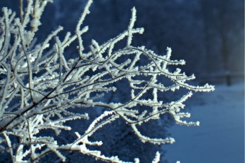 Аномальные морозы задержатся в Хакасии по 3 марта