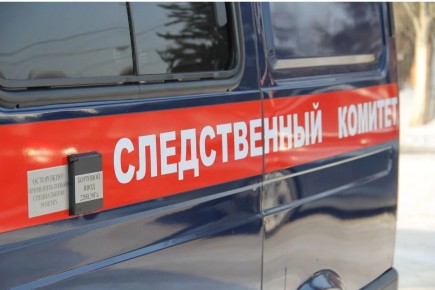 В Усть-Абакане собака укусила ребенка: СК возбудил дело о халатности