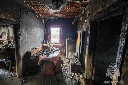 Единственный пожар за сутки в Хакасии унес жизнь пожилой женщины