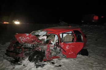 В Туве три человека погибли, шестеро пострадали в ДТП с лошадью на трассе «Енисей»
