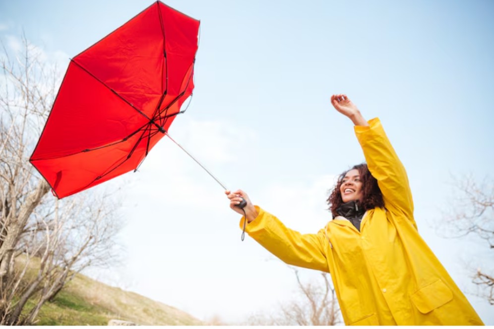 В Хакасии 12 марта сохранится сильный ветер с порывами до 24 м/с