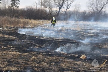 МЧС: причина пожара в окрестностях Тагарского - сжигание мусора