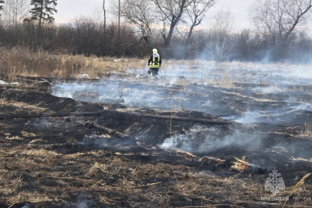 МЧС: причина пожара в окрестностях Тагарского - сжигание мусора