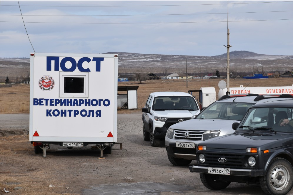 В Хакасии ввели круглосуточный ветконтроль на трассе в Боградском районе