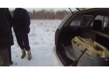 Троих жителей Красноярского края с тушей косули взяли с поличным в Хакасии