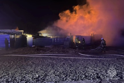 Теленок и 40 домашних птиц погибли на пожаре в Абакане