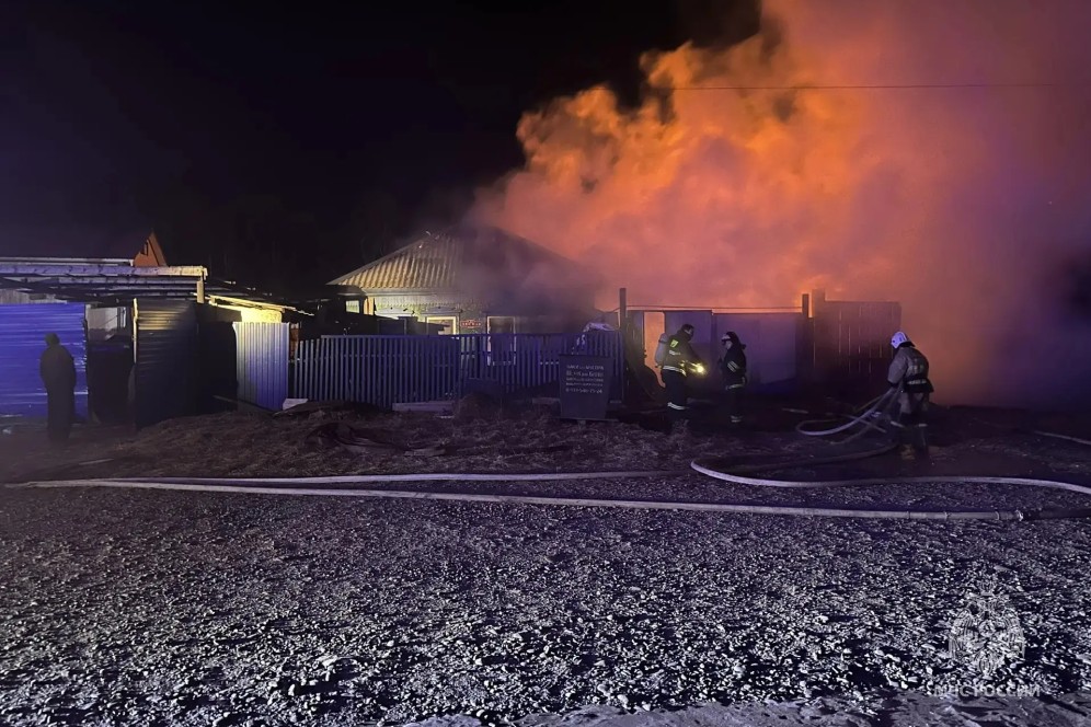 Теленок и 40 домашних птиц погибли на пожаре в Абакане