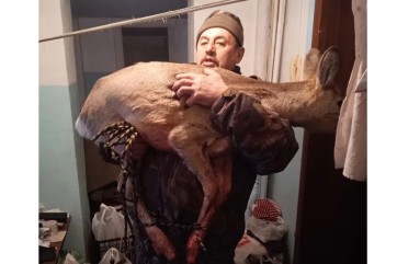 В Красноярском крае полицейский и охотовед спасли косулю, забравшуюся в квартиру
