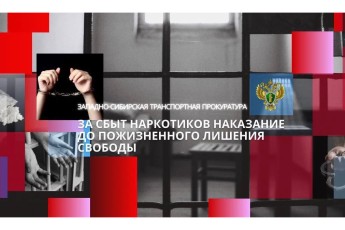 В Хакасии в суд направлено дело о покушении на сбыт гашиша в крупном размере